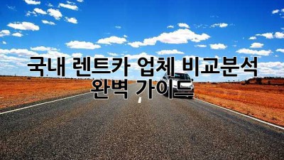 🚗 국내 렌트카 업체 비교분석: 완벽 가이드 🗺️